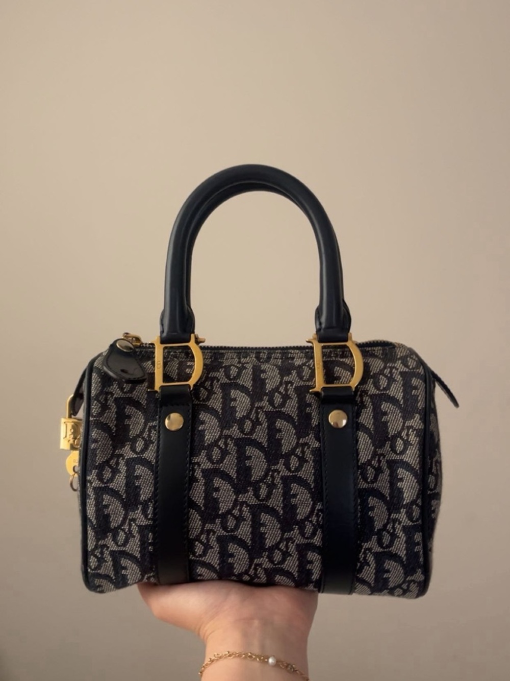 Dior Mini Boston Trotter